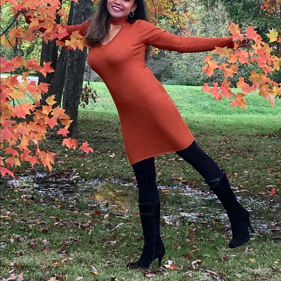 Meet your Posher, Rose - Picture 1 of 8